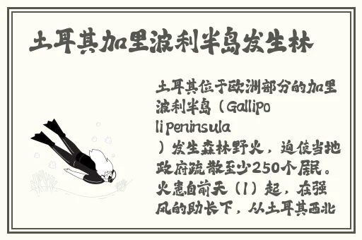 伽罗とい**ゃつきたい腿法